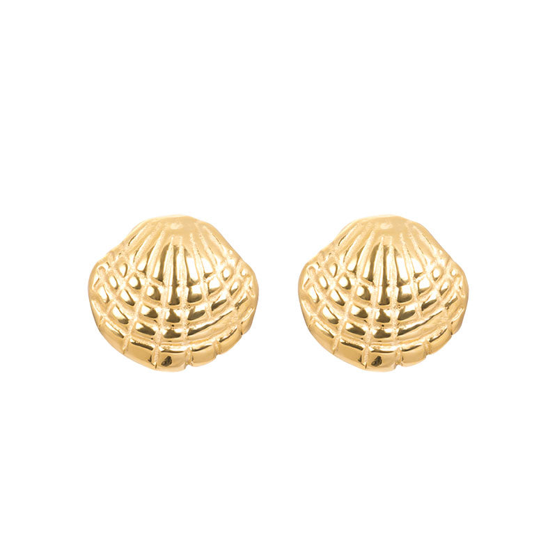 Ear studs Shell